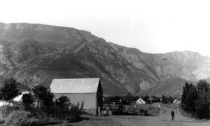 Herbert Vigne - The Father of Greyton